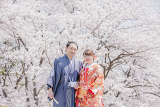 《今だけ超早割！和装桜ロケ》◇撮影料金より&yen;33,000OFF！（ヘアメイク・移動費・申請費・全データ付き）