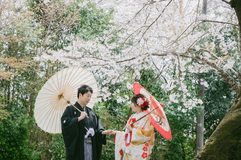 《今だけ超早割!和装桜ロケ》◇撮影料金より¥33,000OFF!(ヘアメイク・移動費・申請費・全データ付き)