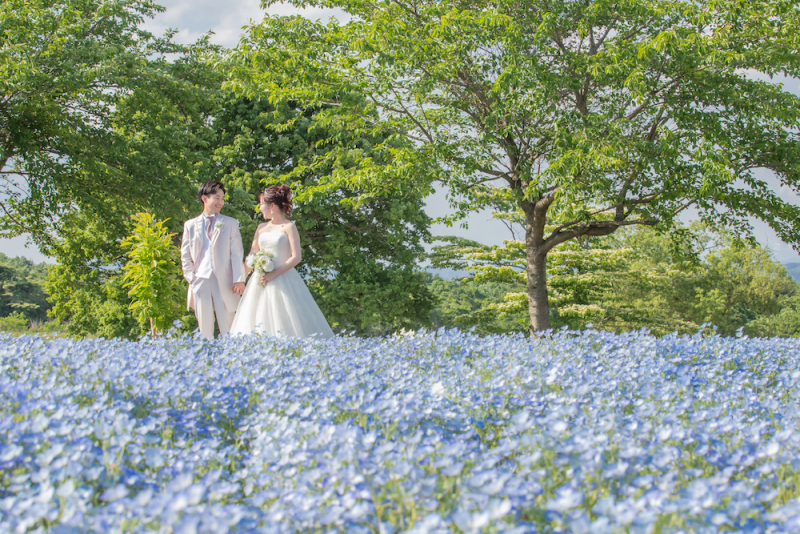 【やくらいガーデンロケーションフォト】園内はゴルフカートで移動♪（ヘアメイク・移動費・申請費・全データ150cut付き!）
