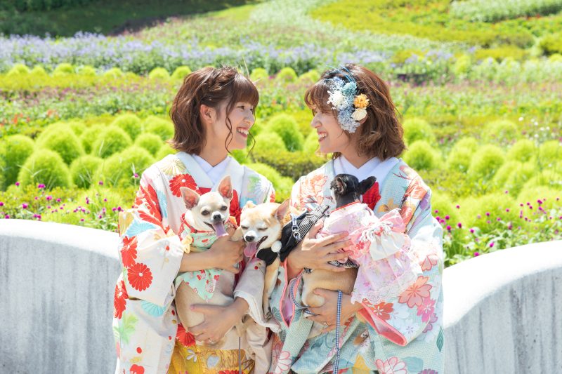 【ペットフォトプラン】大切なペットと一緒に♪洋装ロケーションフォト!(ヘアメイク・移動費・申請費・全データ付き)