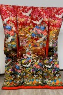 IU-007(全ての衣装料金UPなし！)