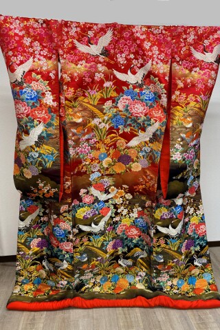 IU-007(全ての衣装料金UPなし！)