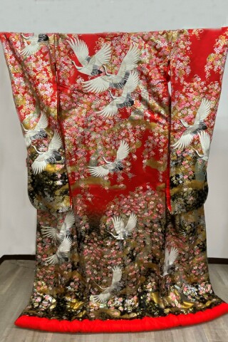 IU-013(全ての衣装料金UPなし！)