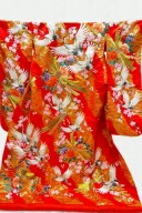 IU-016(全ての衣装料金UPなし！)