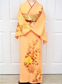 【訪問着】F-044