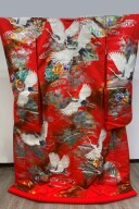 IU-003(全ての衣装料金UPなし！)