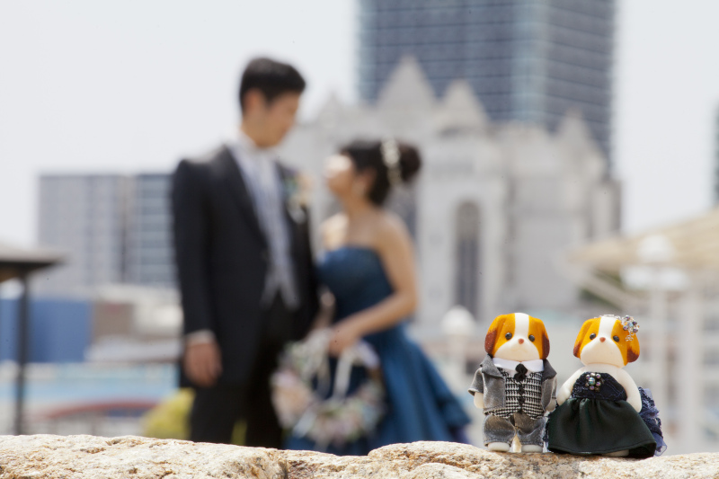 お洒落な撮影小物♡持ち込みOKです(^^)