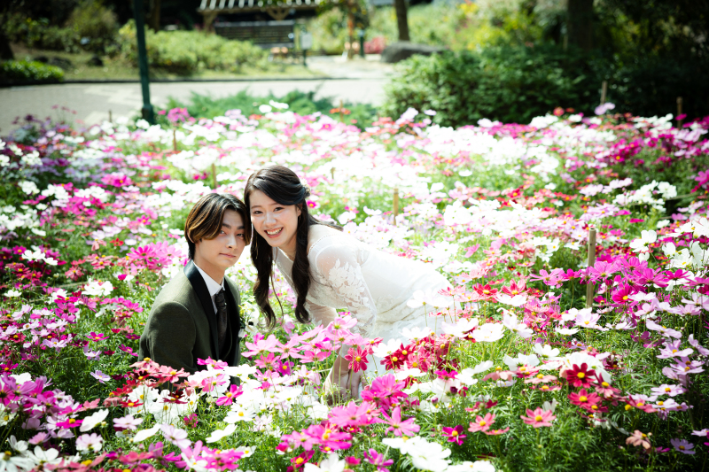 お花畑ショット