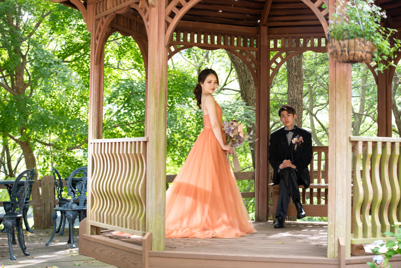 プレストベル_動画を作れる