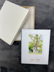 アルバムMellow(20ページ)