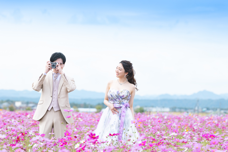 【小野市】桜・ひまわり・コスモス・紅山など、自然豊かなロケーションフォト<データ100カット付き>