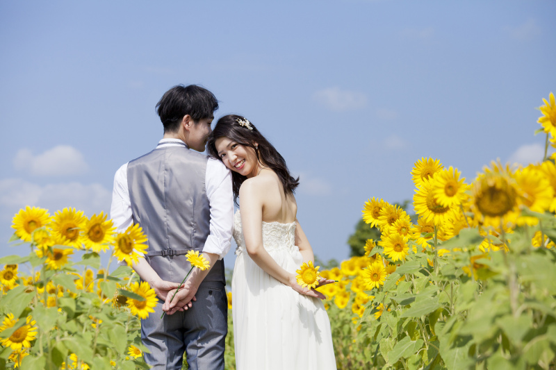 【小野市】桜・ひまわり・コスモス・紅山など、自然豊かなロケーションフォト<データ100カット付き>