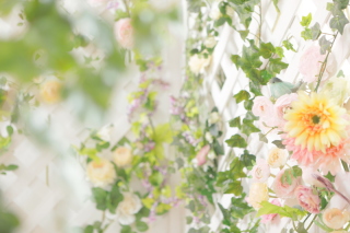 フォトスタジオプリンセス大宮