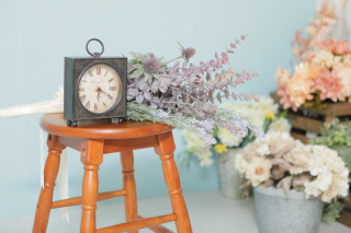 天候・季節に左右されないので毎日が撮影日和！