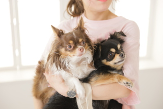 フォトスタジオプリンセス札幌