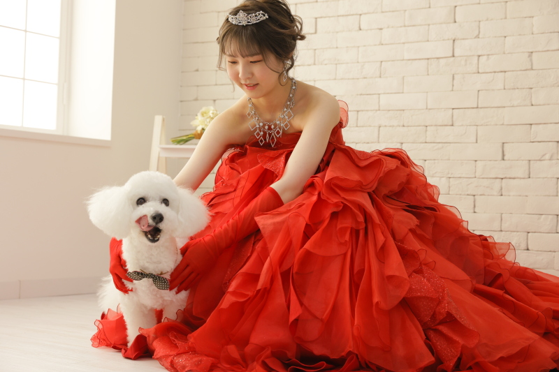 フォトスタジオプリンセス札幌_ペットと一緒に撮影できる