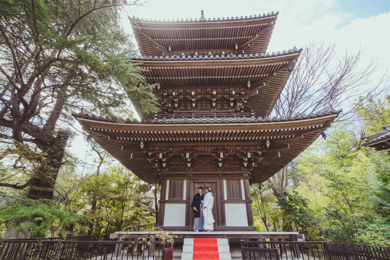三重塔で撮影