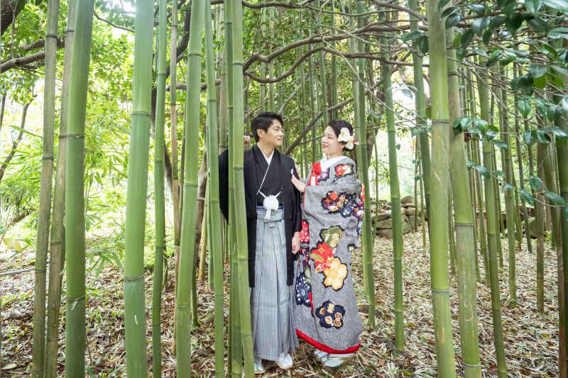 やわらかな光が差し込む竹林