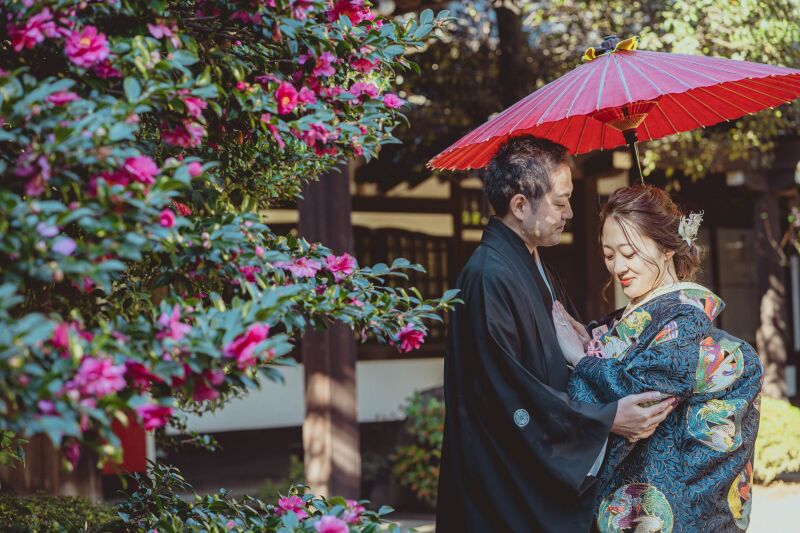 椿がきれいに咲いていました