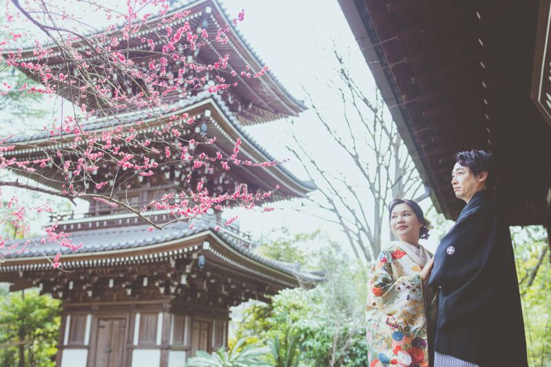 梅の花が咲き春の訪れを感じて撮影