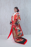 【和装】色打掛08-c