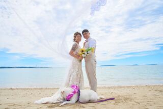 大切なペットも一緒にウェディング撮影はいかが？