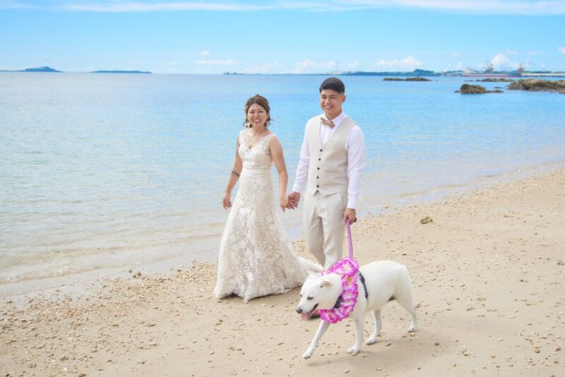 愛犬と一緒にビーチへ