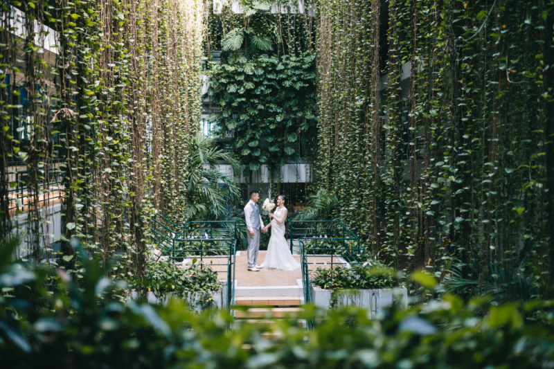 グリーンカーテンに囲まれて