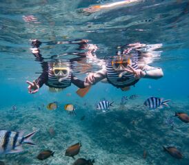 夏到来！シュノーケル付きプランイチオシ！