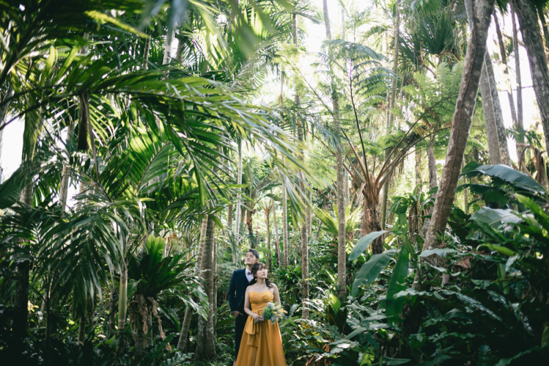 東南植物楽園で南国ロケーションフォト