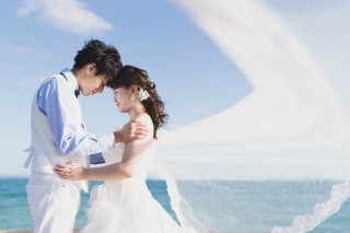 ダイジェストムービー付き！動画プラン