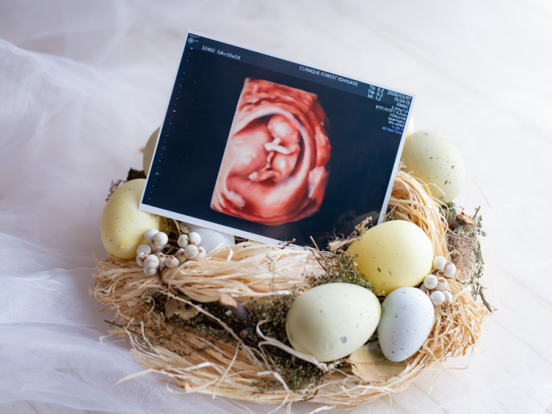 マタニティ撮影