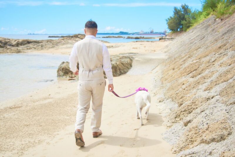 散歩もしながら