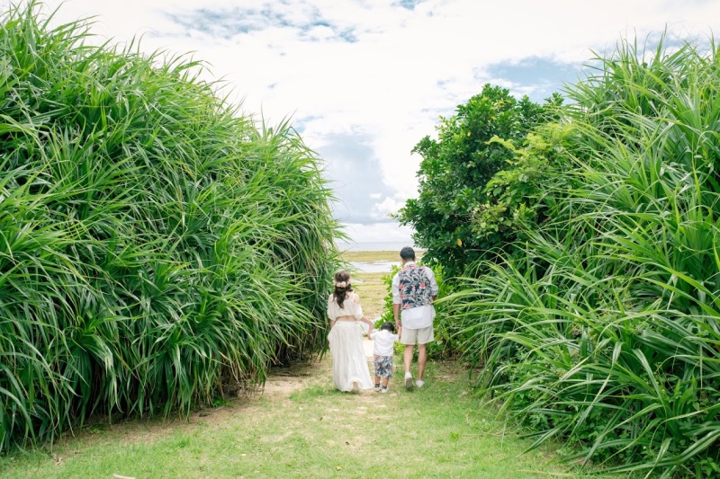 海へと続く小道