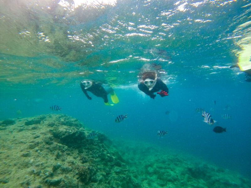 カラフルな海を探検★