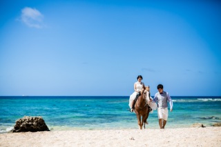 新プラン！乗馬付きプラン☆