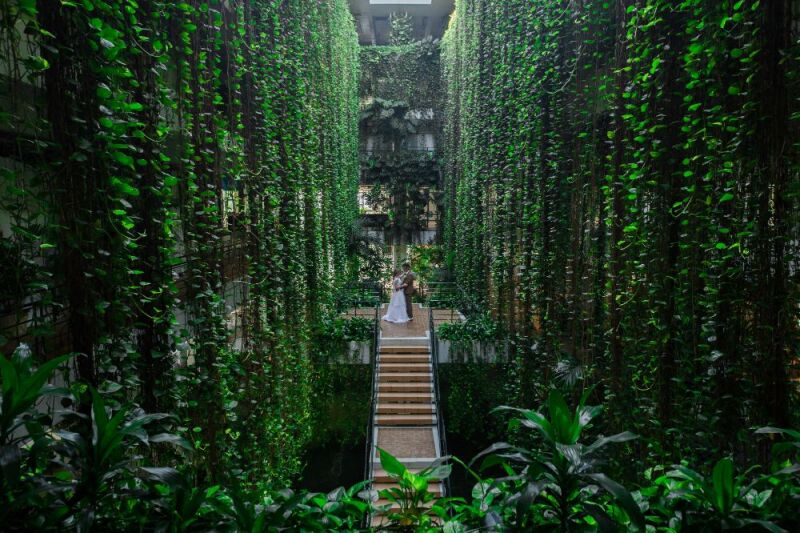 壮大な自然のカーテン