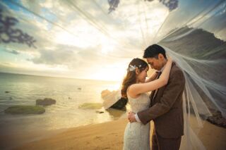 魅力たっぷりのビンテージプラン