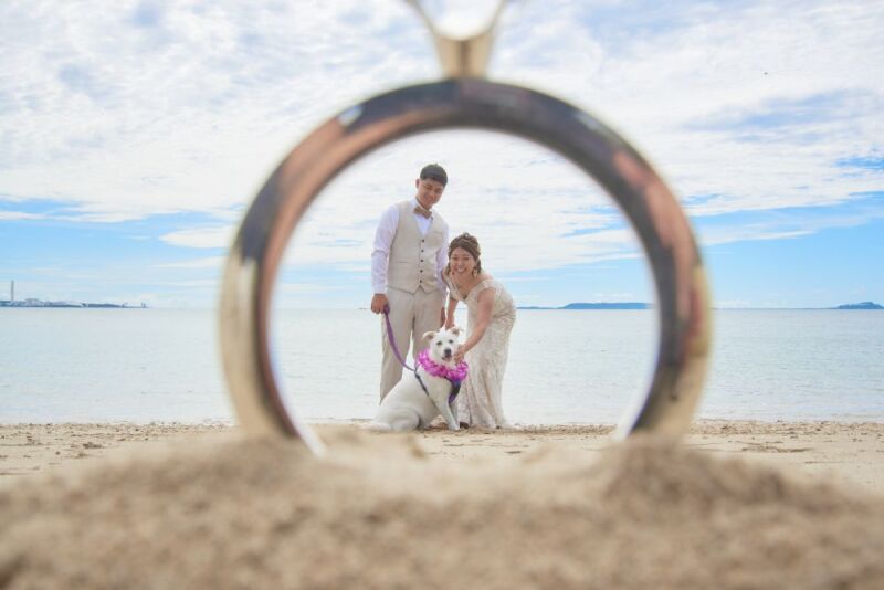 リングフレームにおさまって♬