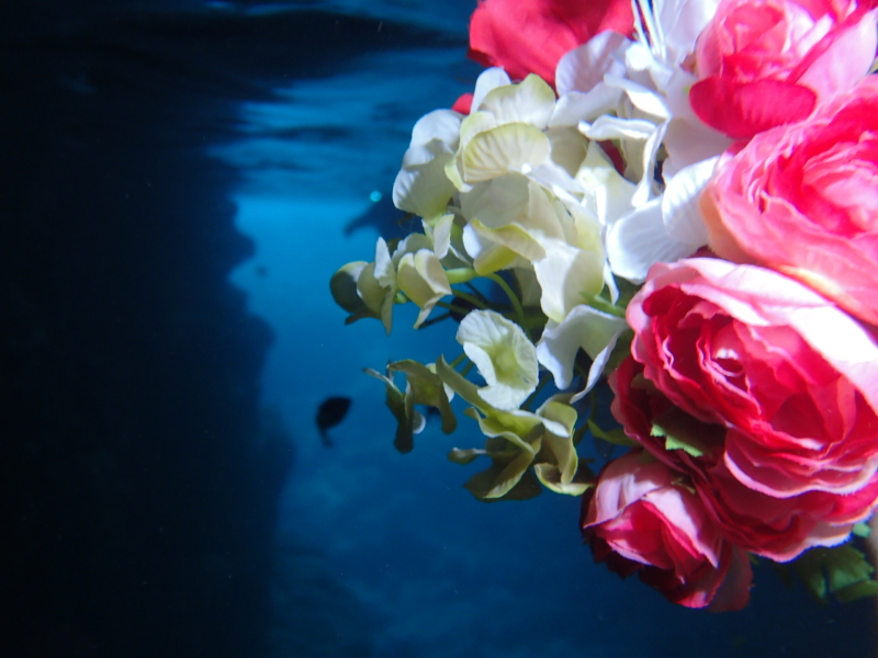 ブーケを持って