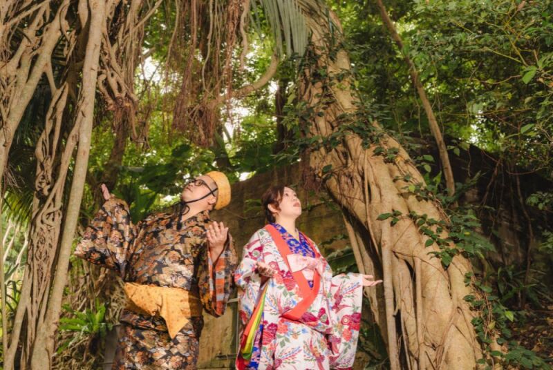 ガジュマルとのコラボ