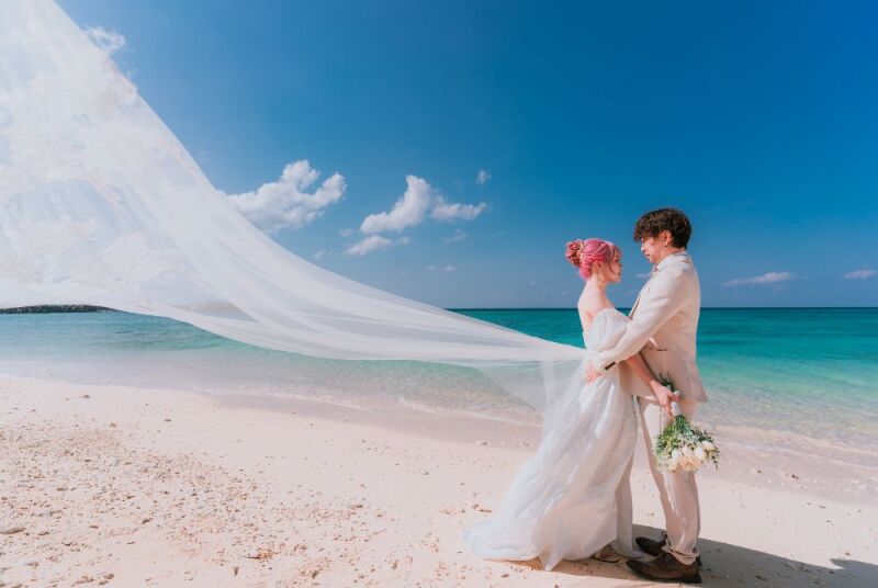 ベールを風になびかせ、互いに抱き合ってみつめあい