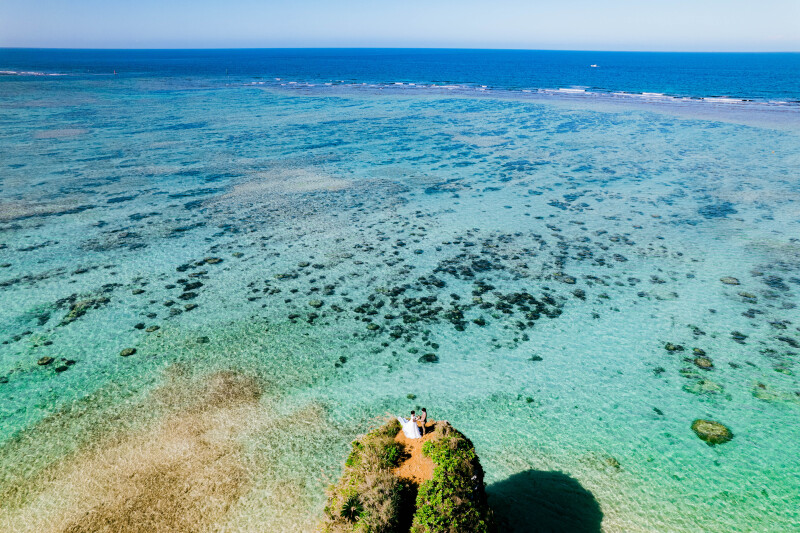 ご覧ください♪