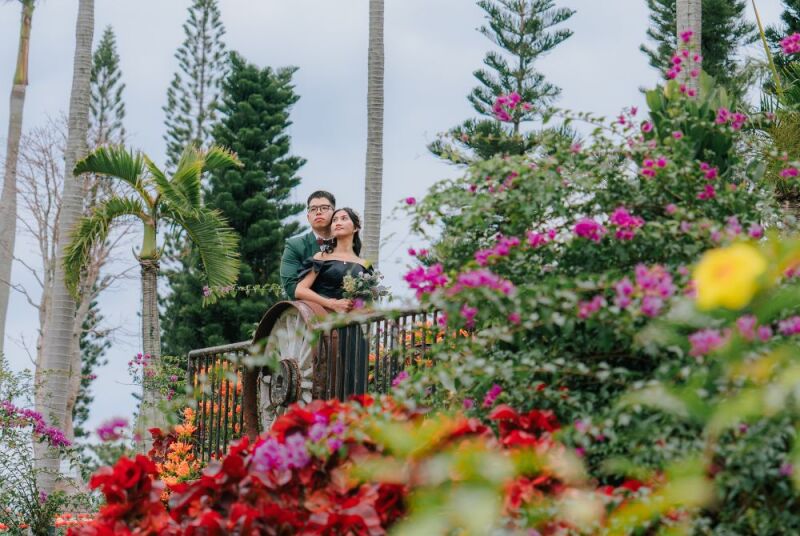 色とりどりの植物に囲まれて