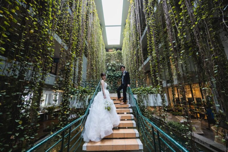 南国のグリーンカーテンの中で