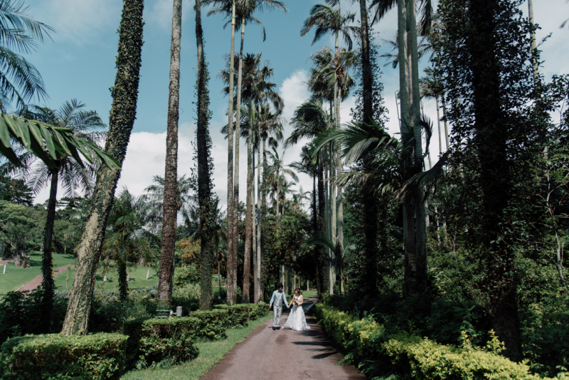 南国植物に囲まれて