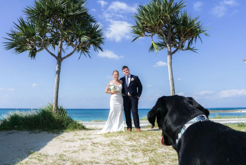 構ってほしい!愛犬ちゃんが見守る中で進めます