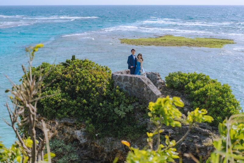 ご紹介しきれないほど、魅力あふれるショットの数々