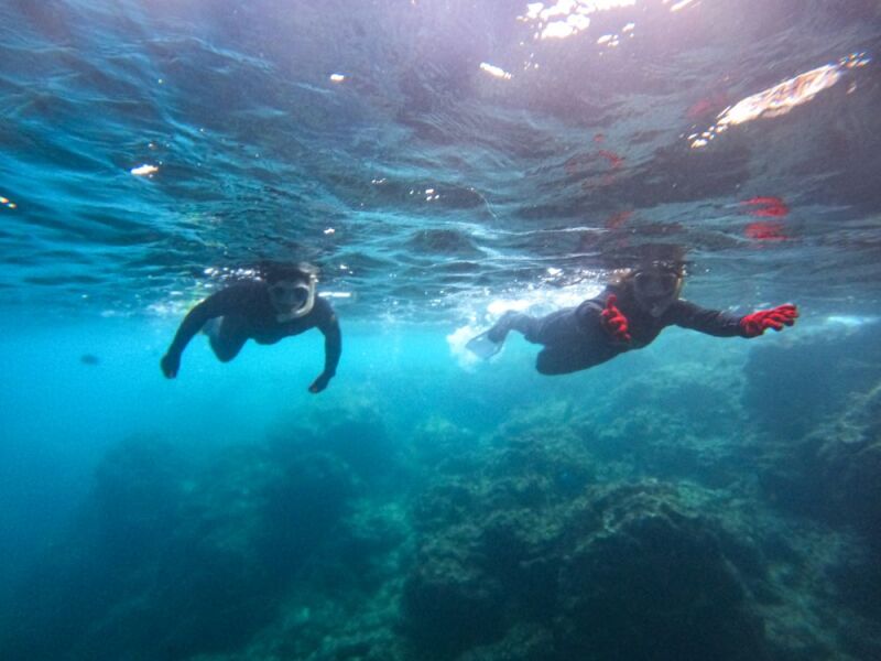 神秘的な青の世界へようこそ