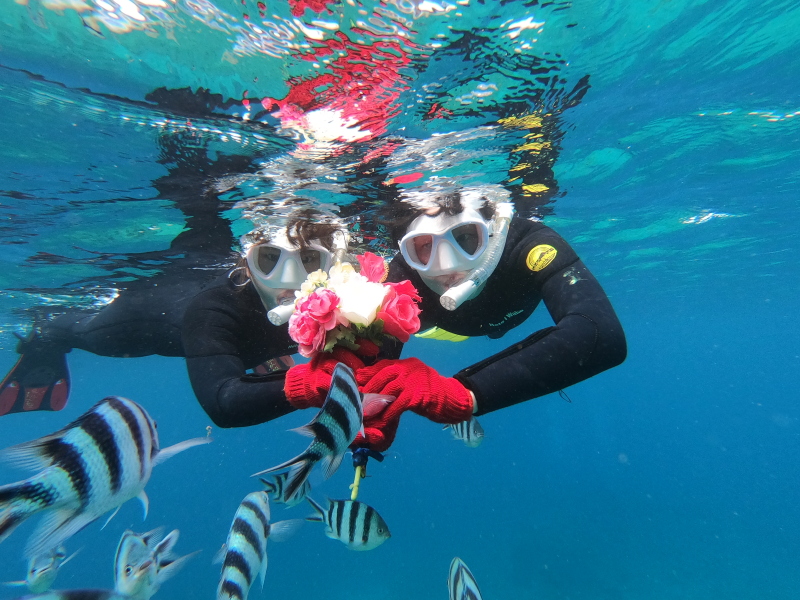 シュノーケルプラン+サッププランのお客様~